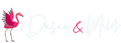 Digital IT Agency & Support